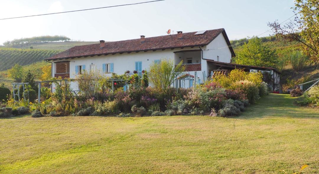 Photo of Others in Belveglio