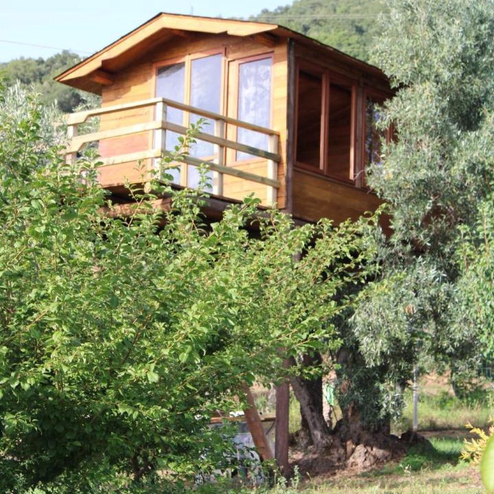 Photo of Buildings in Falerna