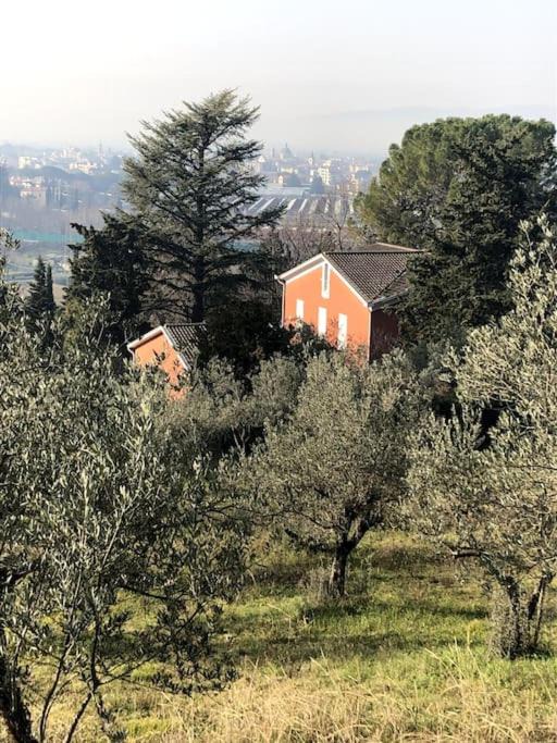 Photo of Outdoor in Foligno