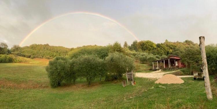 Photo of Others in Teolo