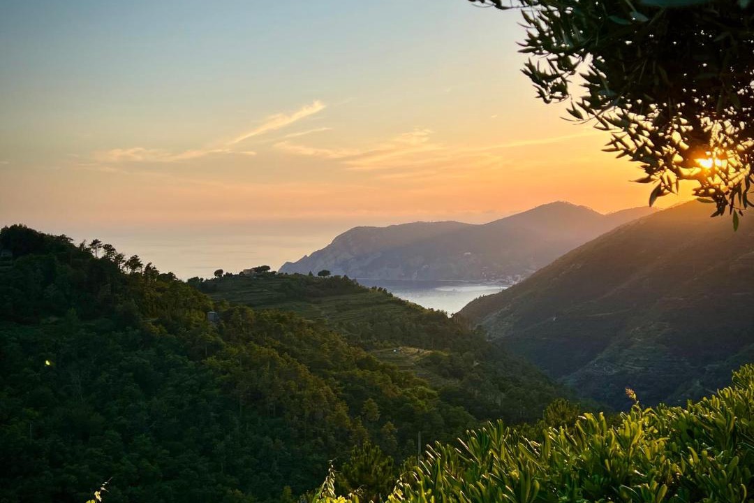 Photo of Others in Vernazza