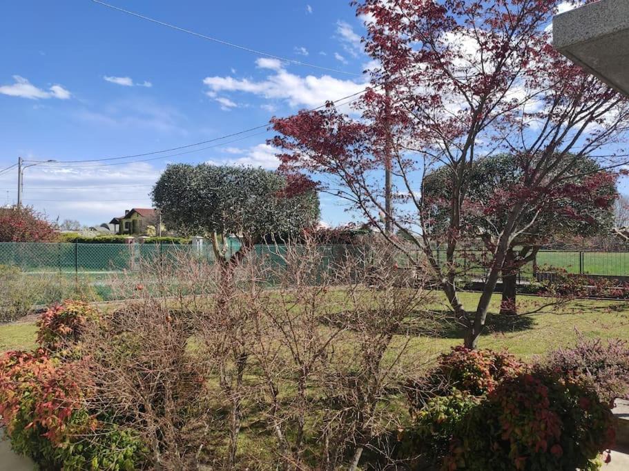 Photo of Outdoor in Candelo