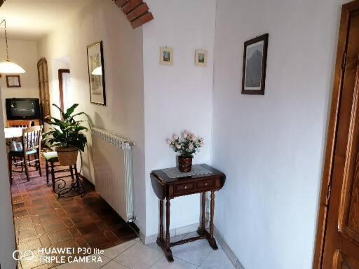 Photo of Livingroom in Cardoso