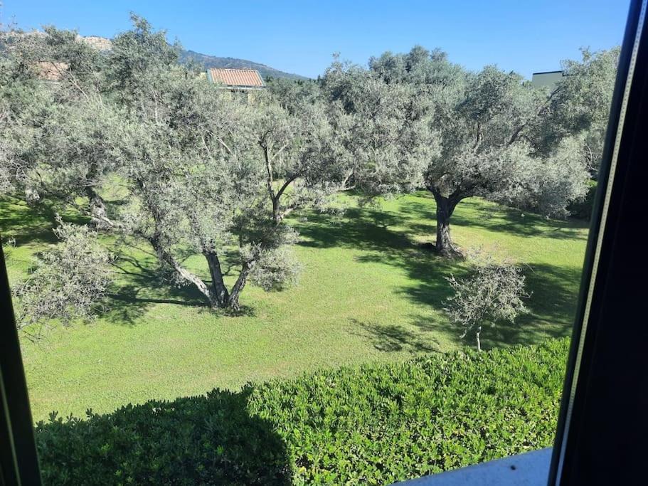 Photo of Outdoor in Contrada Taverna