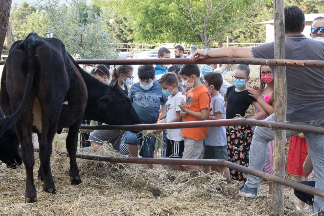 Photo of Others in Magione