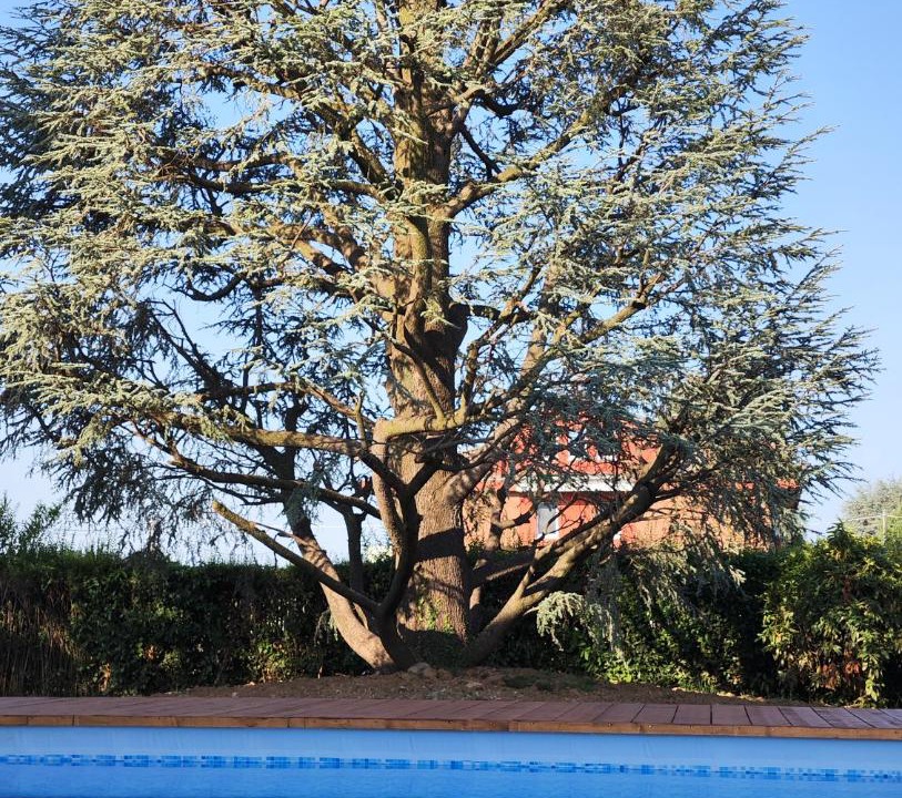 Photo of Outdoor in Gaglianico