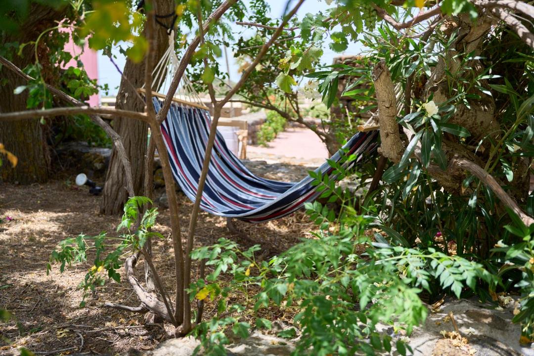 Photo of Others in Pantelleria