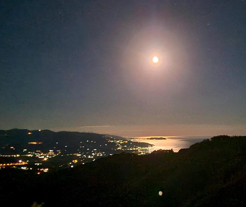 Photo of Others in Stella Cilento
