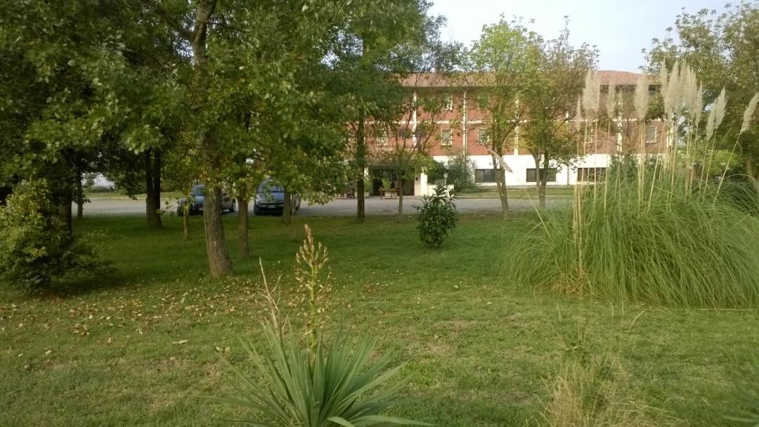 Photo of Others in Medicina