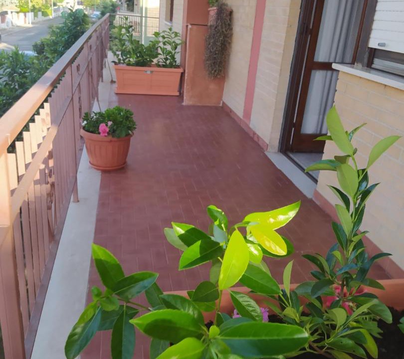 Photo of Patio Balcony in Pontinia