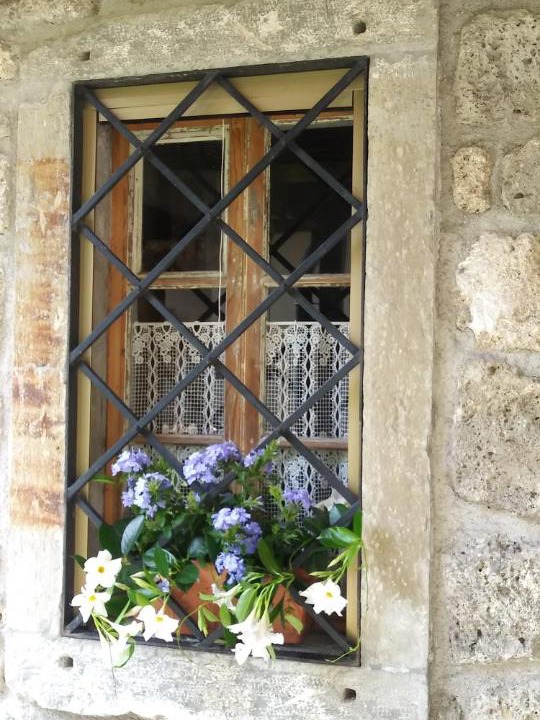Photo of Buildings in Ovaro