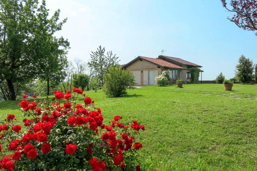 Photo of Others in Grazzano Badoglio