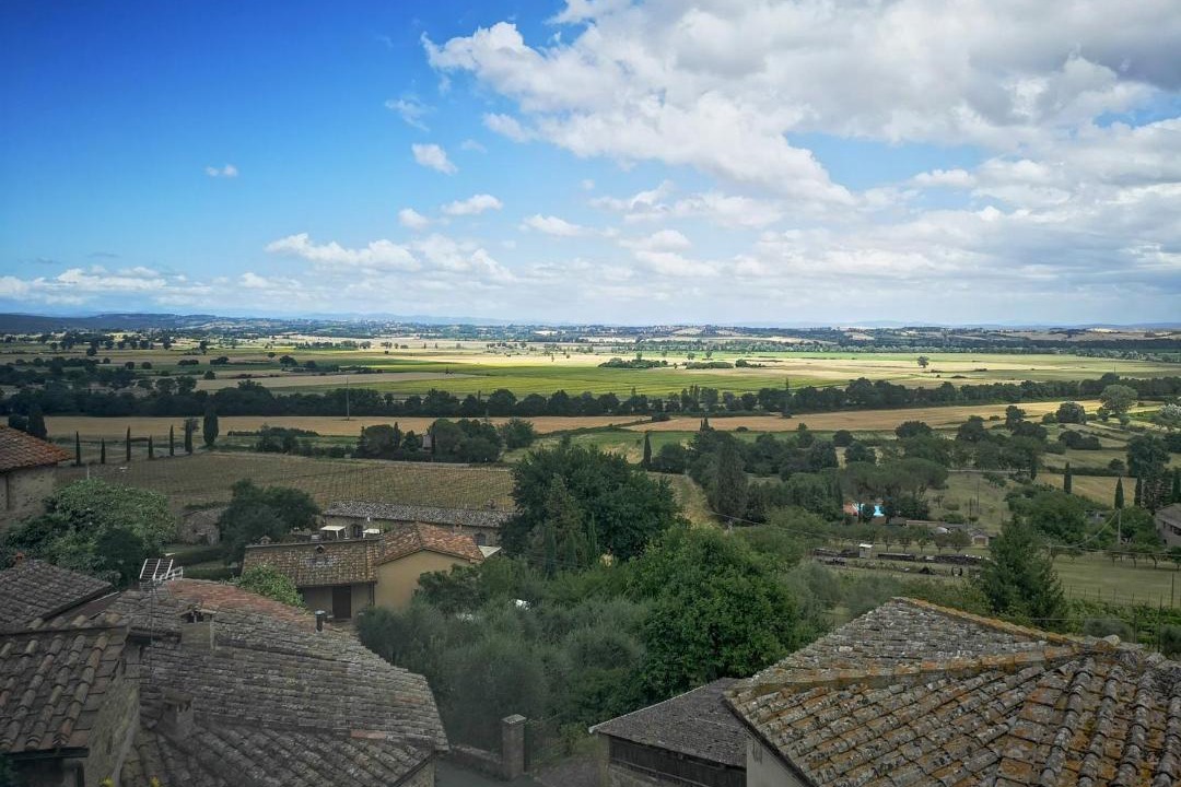 Photo of Others in Torri