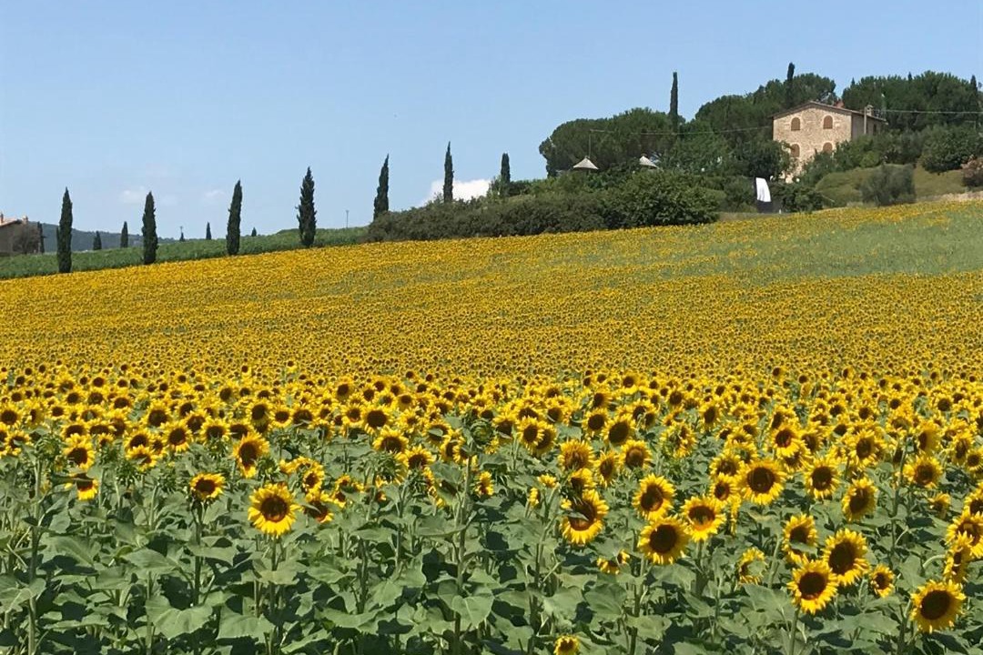 Photo of Others in Solomeo
