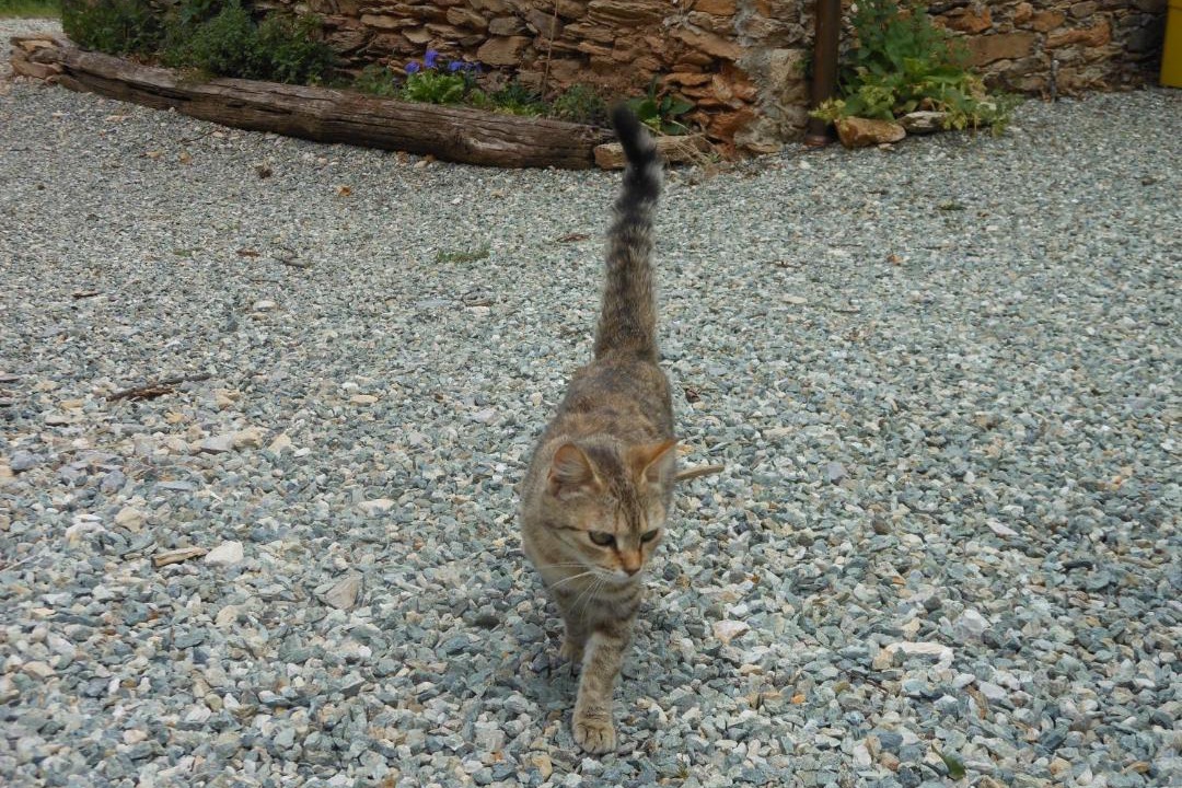 Photo of Others in Venasca