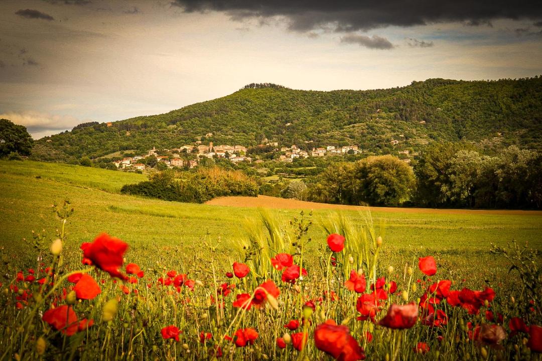 Photo of Others in Paciano