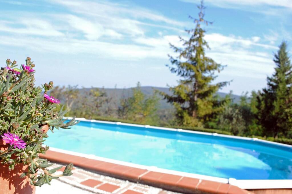 Photo of Others in Gambassi Terme