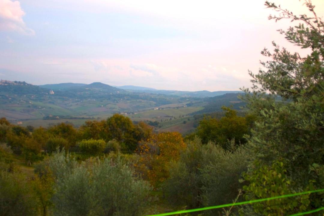 Photo of Outdoor in Montefollonico
