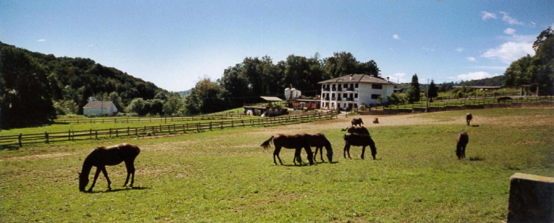 Photo of Others in Rueglio