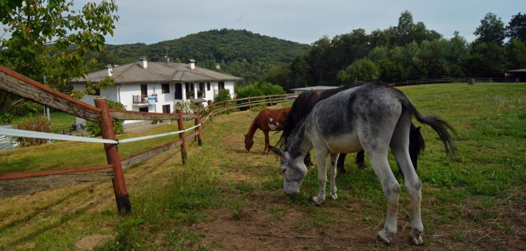 Photo of Others in Rueglio