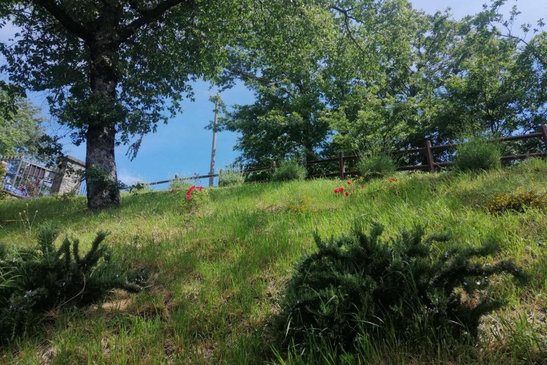 Photo of Outdoor in Pavana