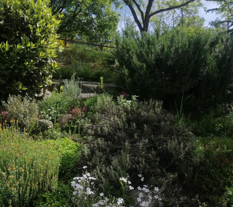 Photo of Outdoor in Pavana