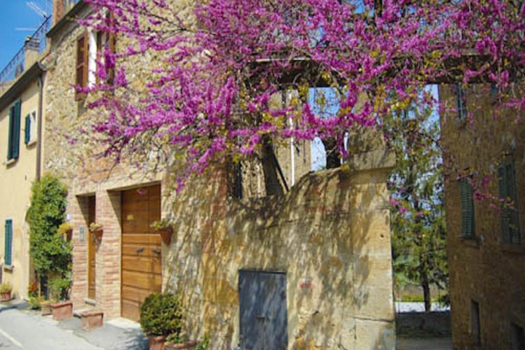Photo of Buildings in Castelmuzio