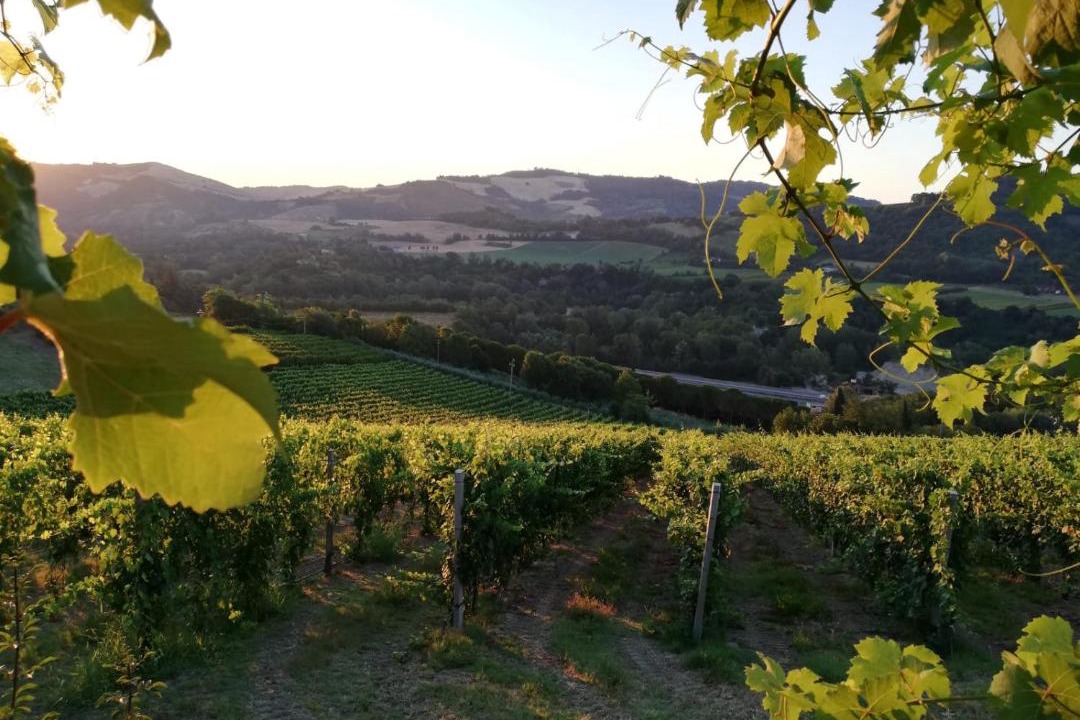 Photo of Others in Pieve Salutare