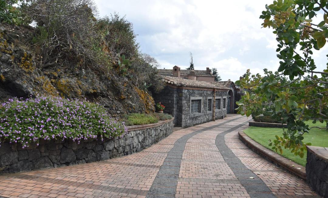 Photo of Buildings in Bronte