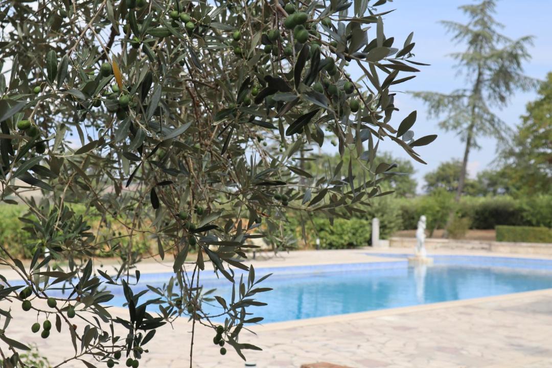 Photo of Outdoor in Montecchio