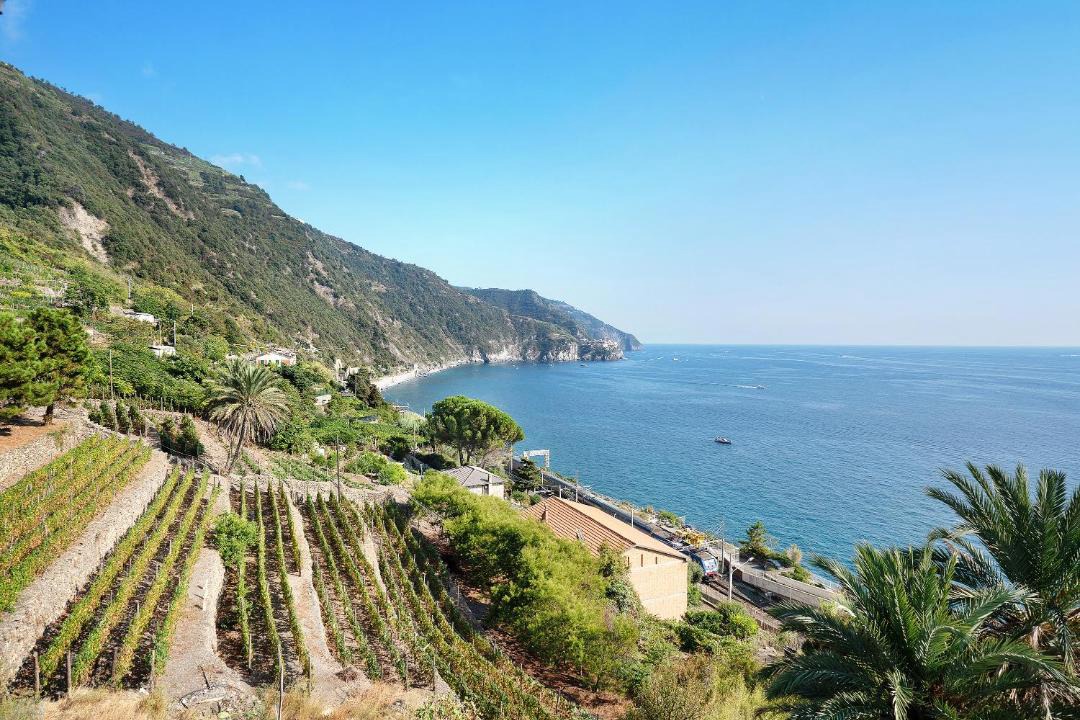 Photo of Others in Corniglia
