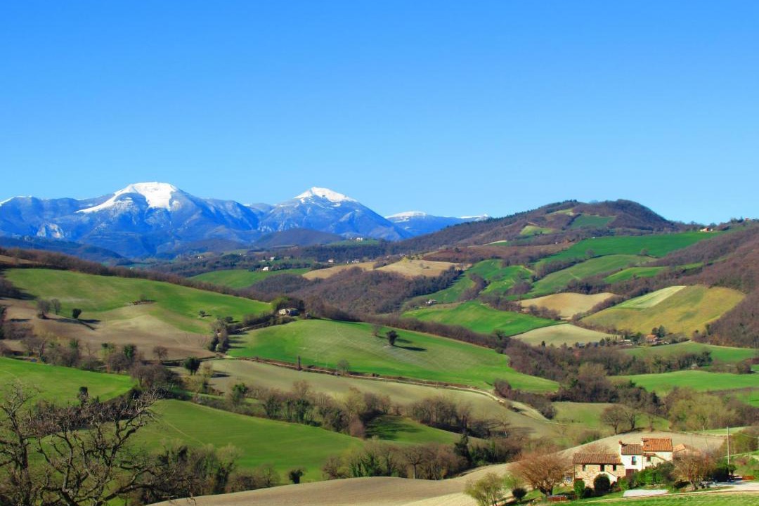 Photo of Others in Arcevia