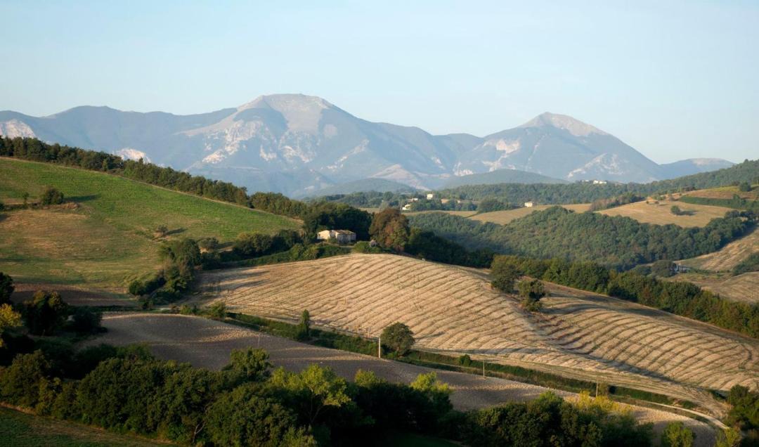 Photo of Others in Arcevia