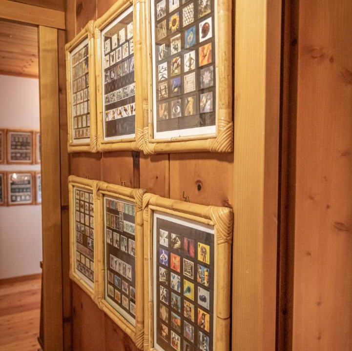 Photo of Others in Borca di Cadore