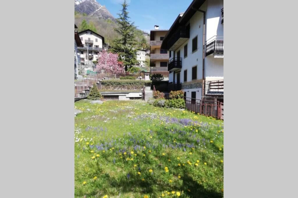 Photo of Others in Chiesa in Valmalenco