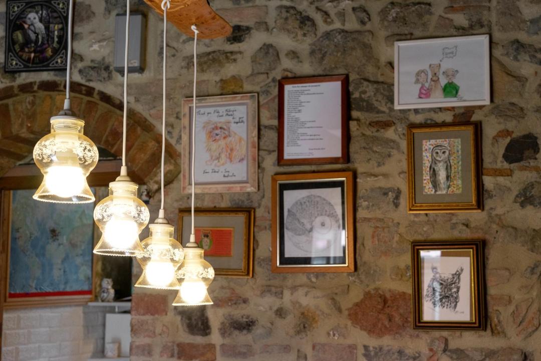 Photo of Others in Gambassi Terme