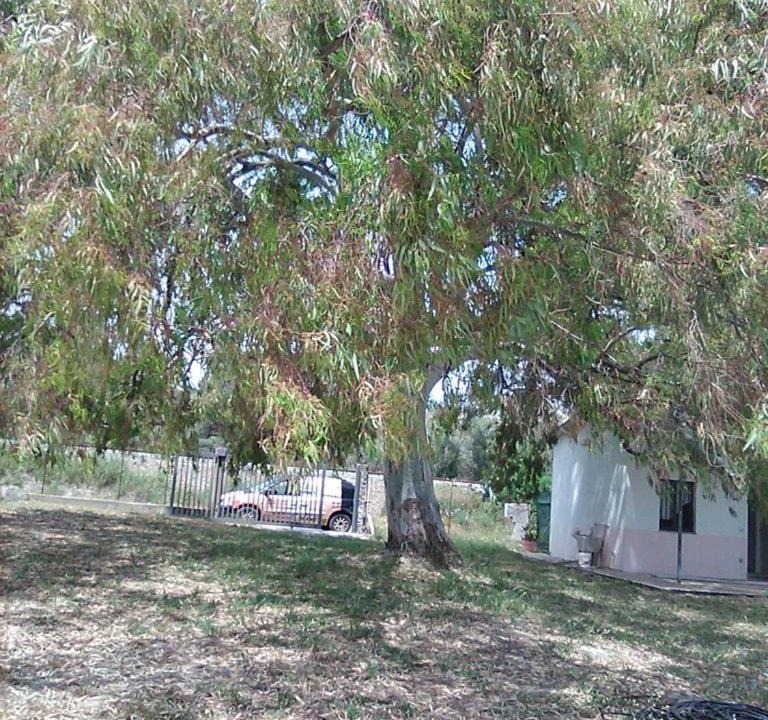 Photo of Outdoor in Bianco