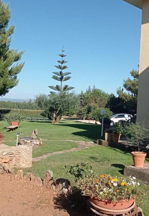 Photo of Outdoor in Alghero