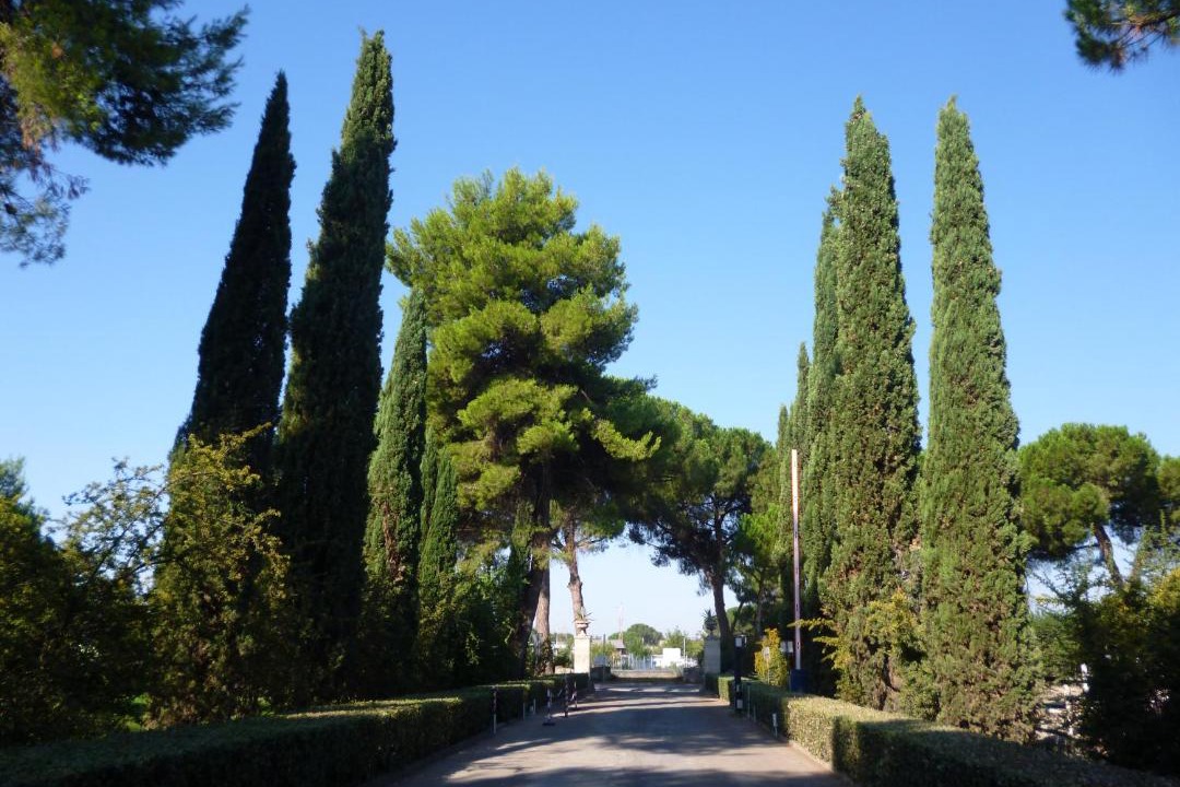 Photo of Outdoor in Guidonia Montecelio