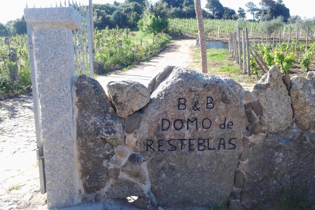 Photo of Others in Berchidda