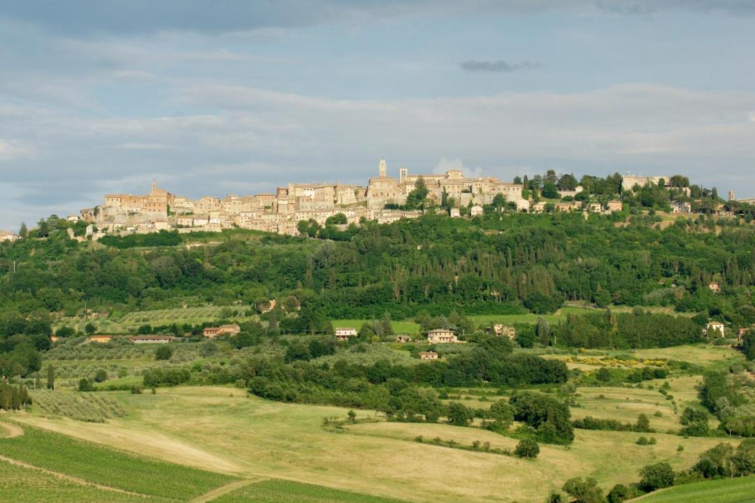Photo of Others in Montepulciano