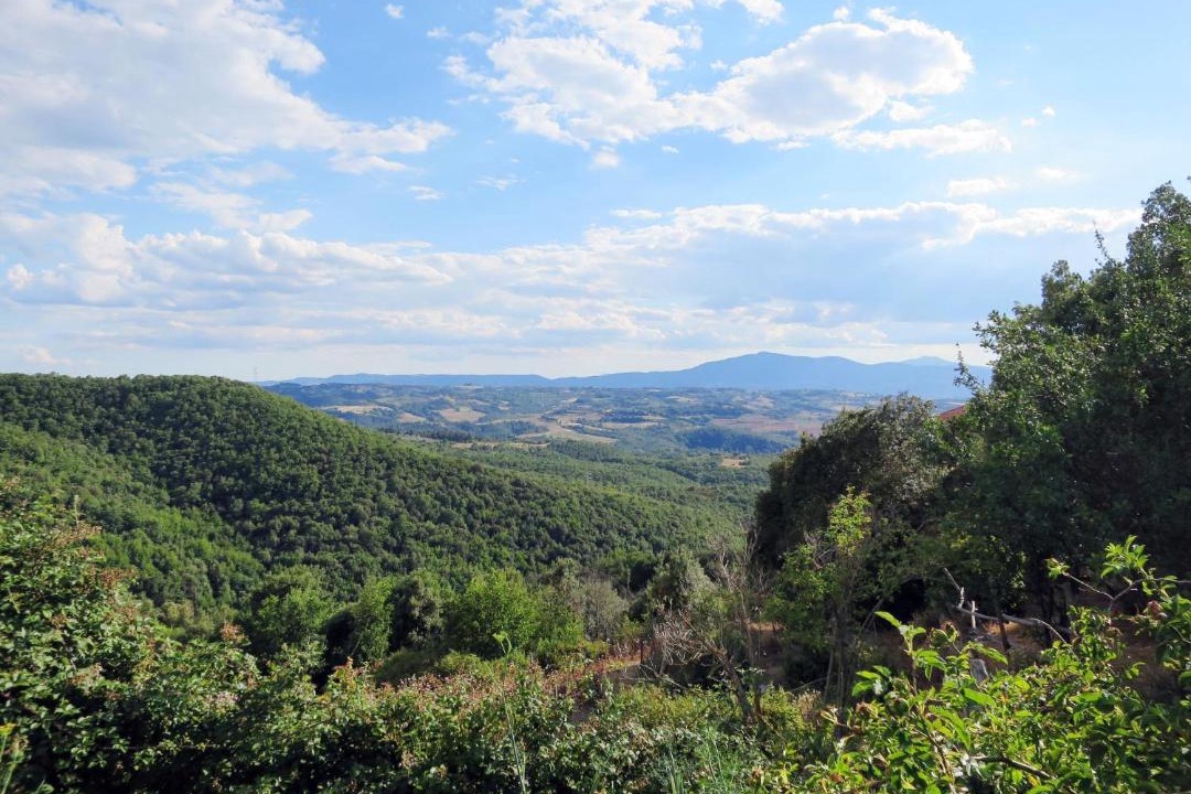 Photo of Others in Paciano