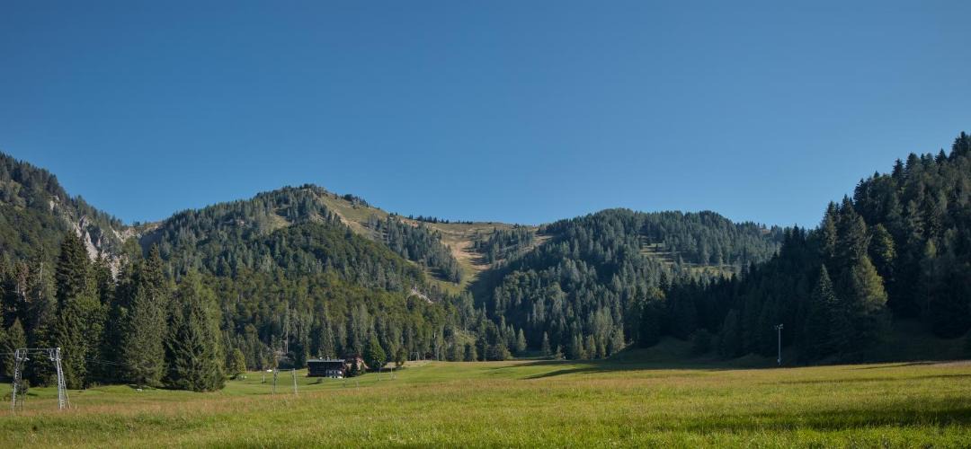 Photo of Others in Sauris