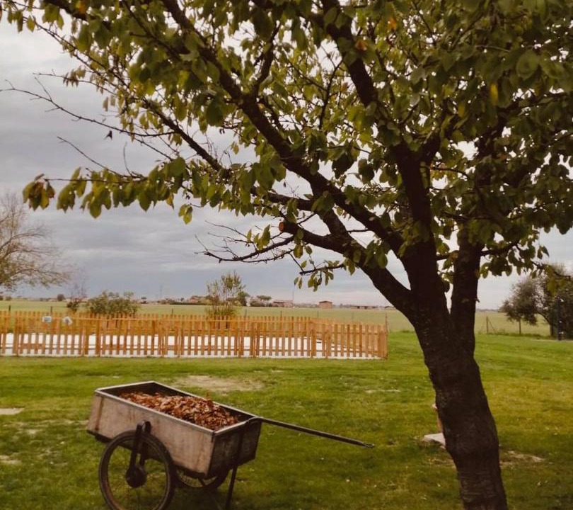 Photo of Outdoor in Massa Castello
