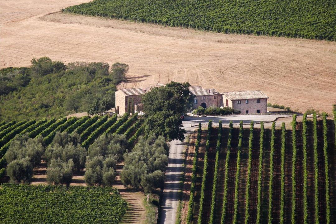 Photo of Others in Montalcino