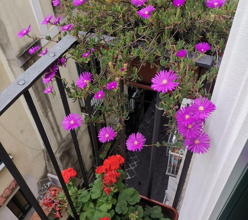 Photo of Patio Balcony in Historical Downtown Salerno