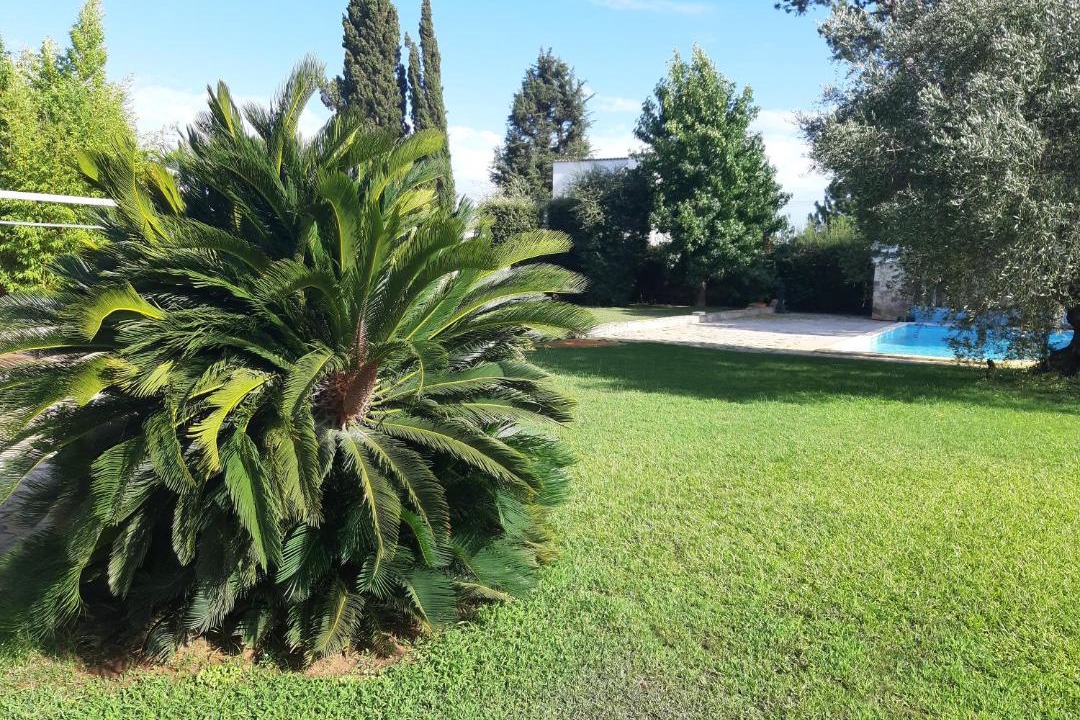 Photo of Others in Latina Lido