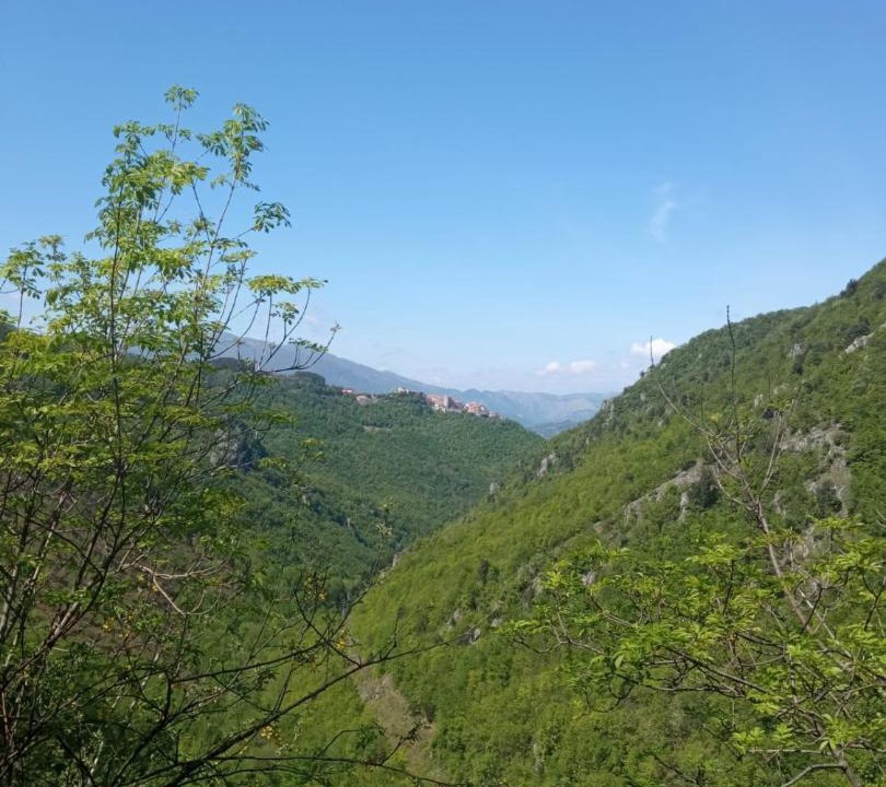 Photo of Outdoor in Picinisco