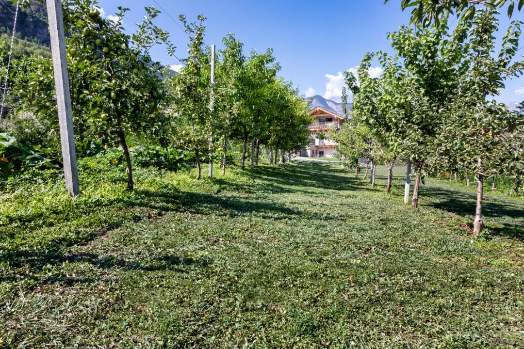 Photo of Outdoor in Pompiod