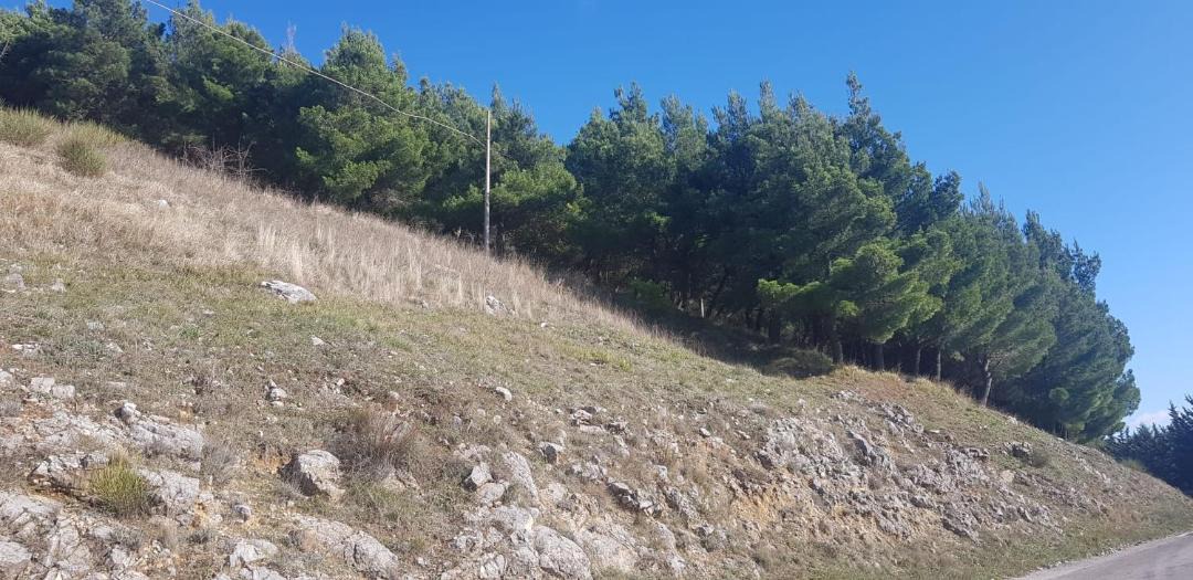 Photo of Outdoor in Romagnano al Monte